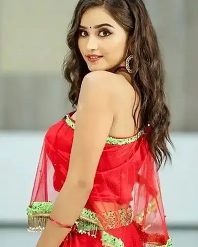 Call Girls Service Giddaluru